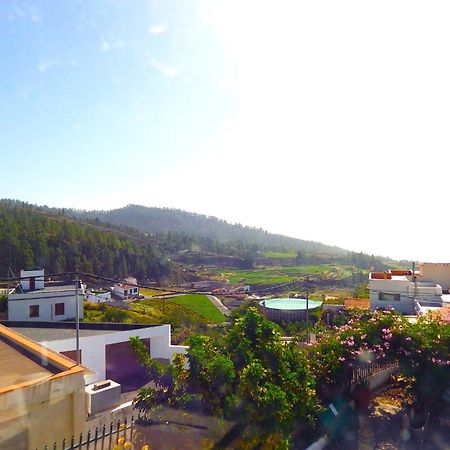 ビラフロール Ziggys Mountain Retreat (Adults Only) Bed & Breakfast エクステリア 写真