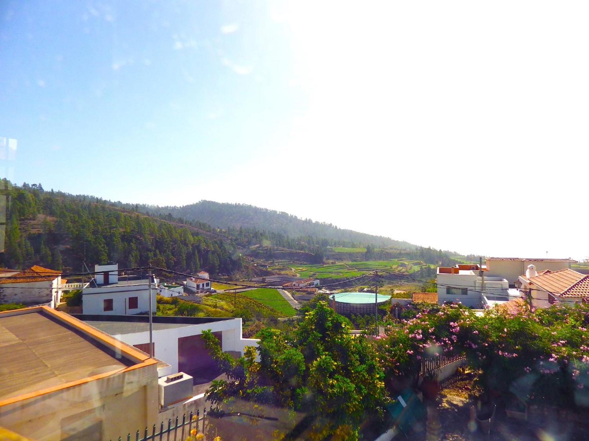 ビラフロール Ziggys Mountain Retreat (Adults Only) Bed & Breakfast エクステリア 写真